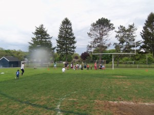 100_0546